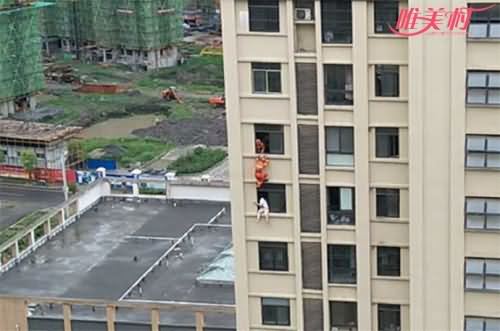 高中生跳楼瞬间被踹回