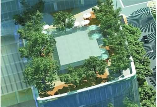 市民楼顶上建花园