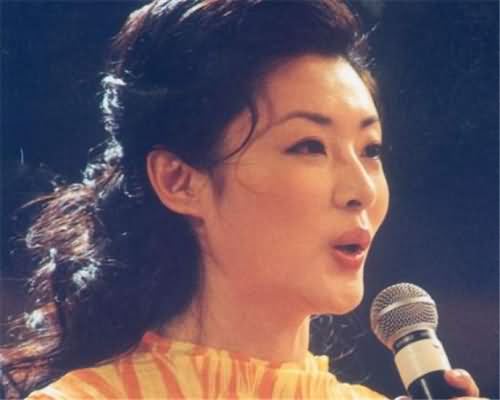 周涛老公路云身价多少 周涛老公路云身价多少