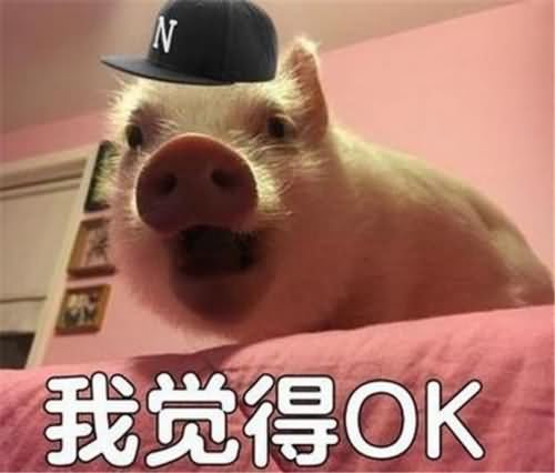 聊天中ojbk是什么意思 该如何回答对方才好