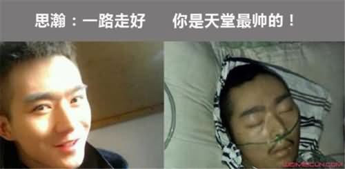 秦思瀚是怎么红起来的 秦思瀚是怎么红起来的