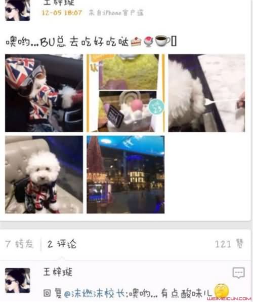 沫然妻子王梓璇资料