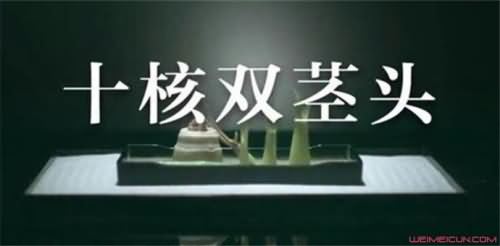 双茎头什么梗 双茎头什么梗