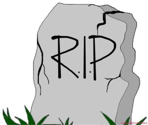 网络用语rip是什么意思什么梗 网络用语rip是什么意思什么梗