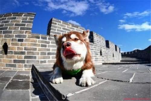 王可可在哪找到的 王可可在哪找到的