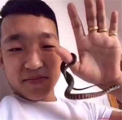 社会你胜哥为什么没手