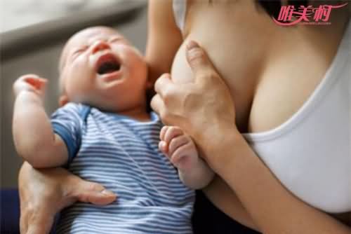 哺乳