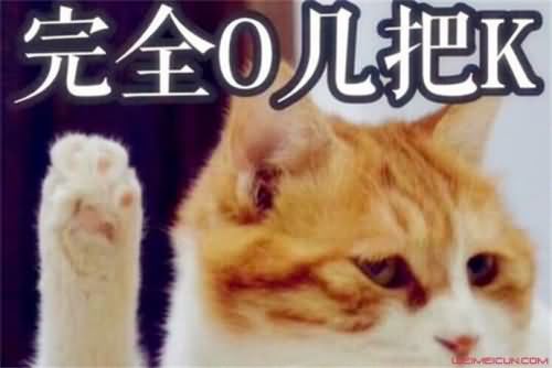 ojbk是什么意思 ojbk是什么意思