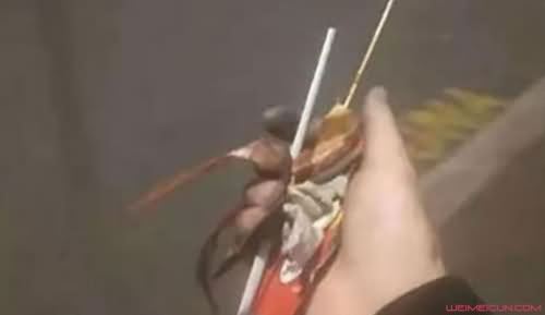 聂学煌捡垃圾照片