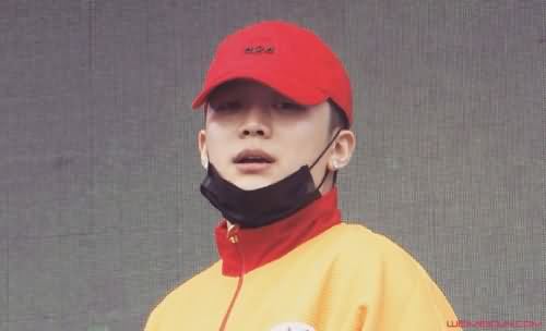PGone李小璐事件