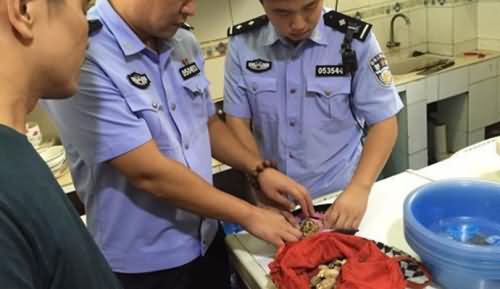 加罂粟粉提鲜获刑