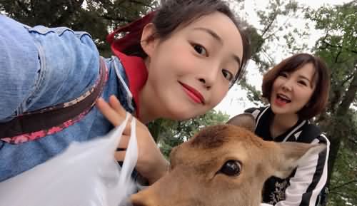 斗鱼笨笨笨狐狸去哪里了
