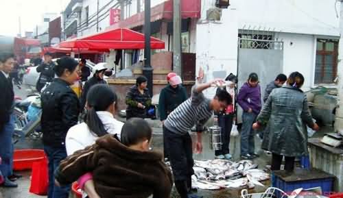 杀鱼弟视频