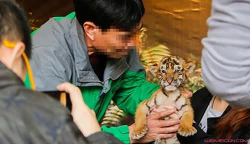 游客付费合影叫停