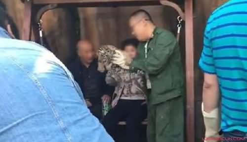 游客付费合影叫停