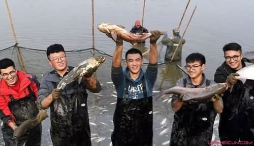 高校捕鱼3万斤