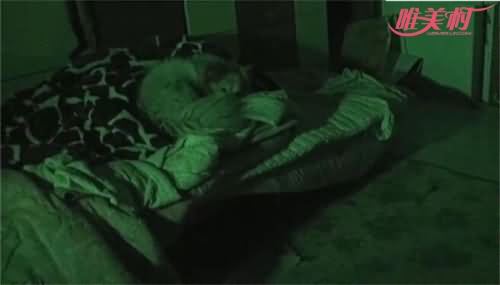 狗狗坐巷口等主人三年 狗狗坐巷口等主人三年