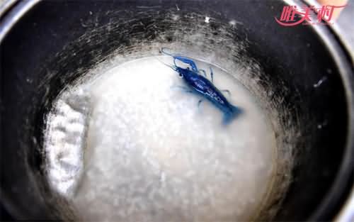 江苏现蓝色小龙虾