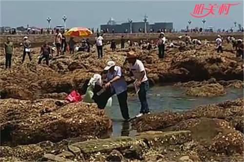 老人下海捡物摔伤 老人下海捡物摔伤