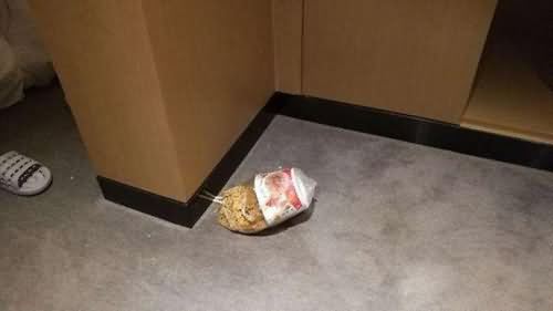 住酒店遭醉汉闯入