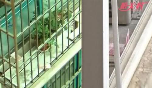 散落在阳台的百元大钞
