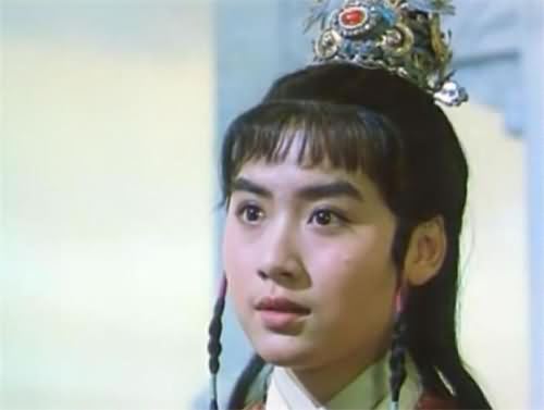 佟瑞欣老婆夏菁的剧照