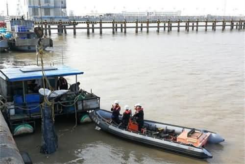 启东座头鲸死亡 虽很不幸但未来极有可能造福无数海洋动物