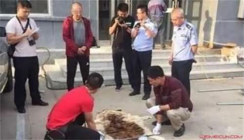 男子网购虎皮被抓 男子网购虎皮被抓