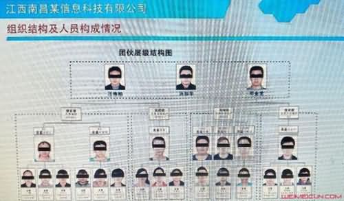 “套路贷”网络诈骗案专找大学生