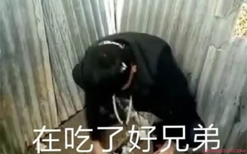 老八吃粑粑是真的吗