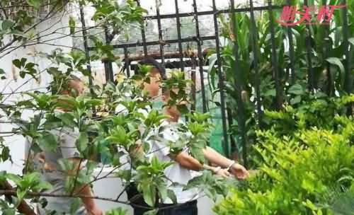 路边草丛藏十几万现金