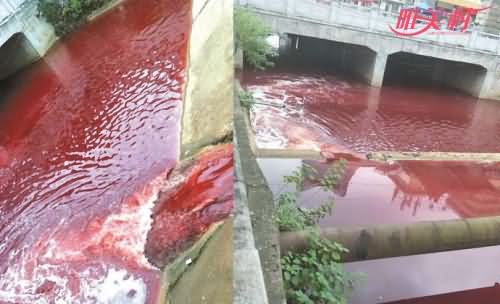 江西九江现红色河水 现场“血腥”一片相当震惊背后原因查明