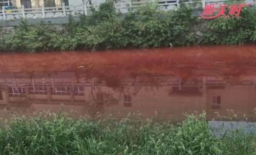 江西九江现红色河水 江西九江现红色河水
