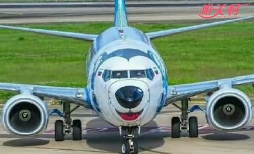 航空公司将飞机涂成哈士奇 航空公司将飞机涂成哈士奇