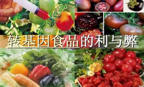 转基因食品的利与弊