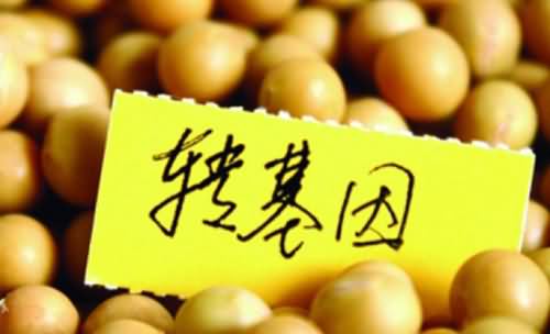 转基因食品的利与弊