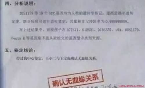 王宝强亲子鉴定结果图 王宝强亲子鉴定结果图