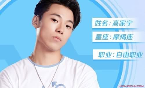 高家宁为什么退出 高家宁为什么退出