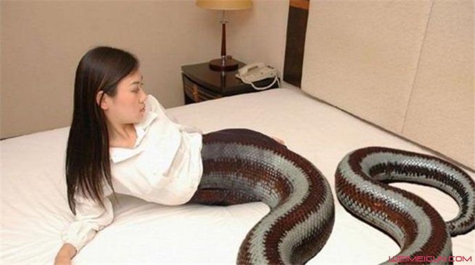 人头蛇身怪物震惊全球 人头蛇身怪物震惊全球