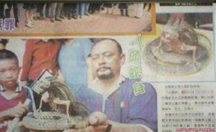人头蛇身怪物震惊全球 人头蛇身怪物震惊全球