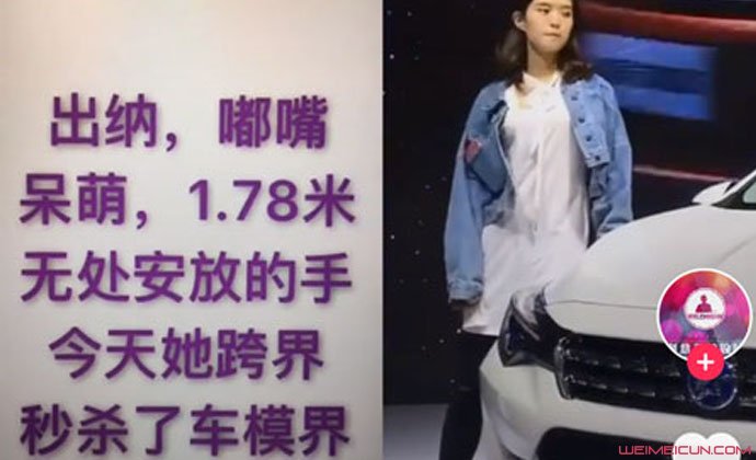 跨界车模张莉馨是谁 跨界车模张莉馨是谁