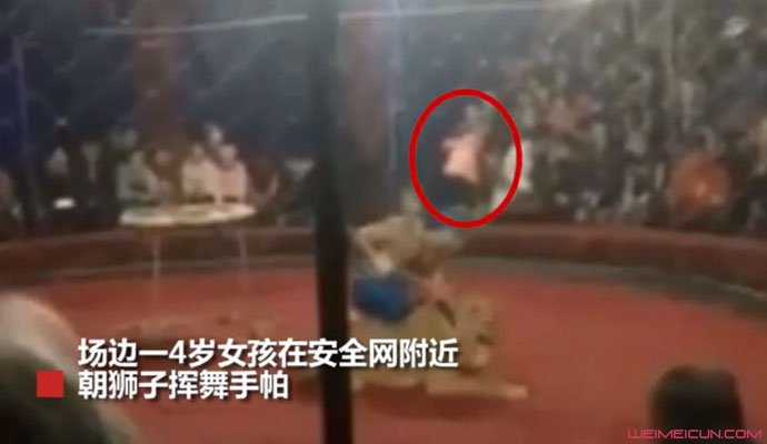 马戏团狮子咬女孩 马戏团狮子咬女孩