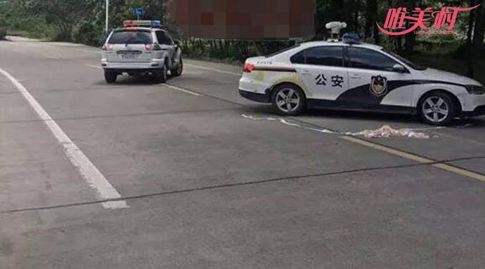 当街杀害一对母子 当街杀害一对母子