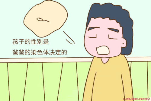 生男生女由男方精子染色体决定 生男生女由男方精子染色体决定
