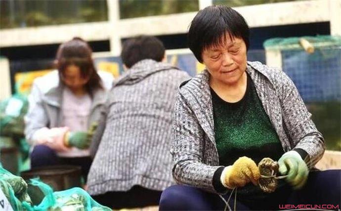 捆蟹大妈月入万元什么情况