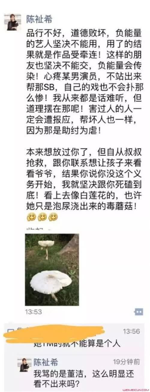 陈祉希撕董洁