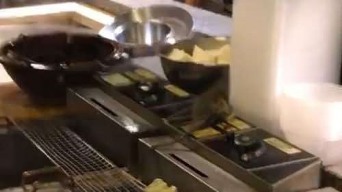 饭店油锅上蹲着活老鼠 如此吸引老鼠让消费者心痛不已