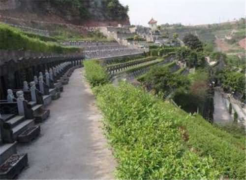 重庆墓地冥想活动 重庆墓地冥想活动