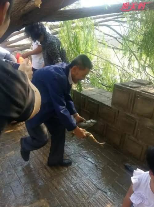 鱼儿遭哄抢 鱼儿遭哄抢