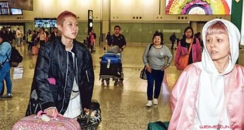 吴卓林和女友返港原因